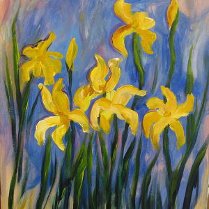 Monet Yellow Iris