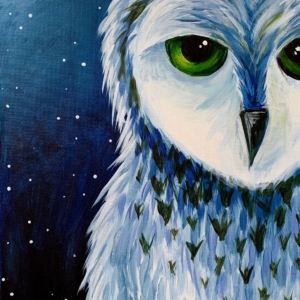 Snowy Barn Owl