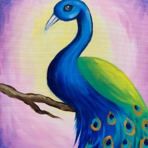 Purple Peacock