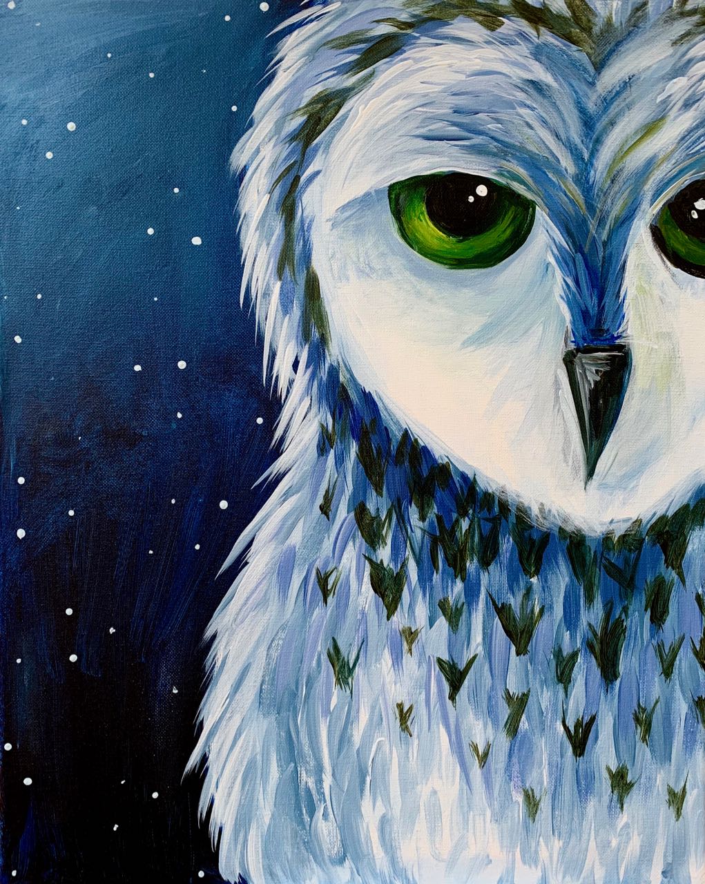 Snowy Barn Owl