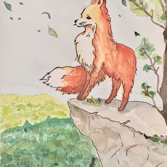 Fox Lookout