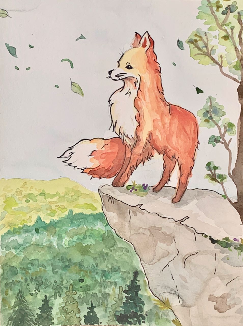 Fox Lookout