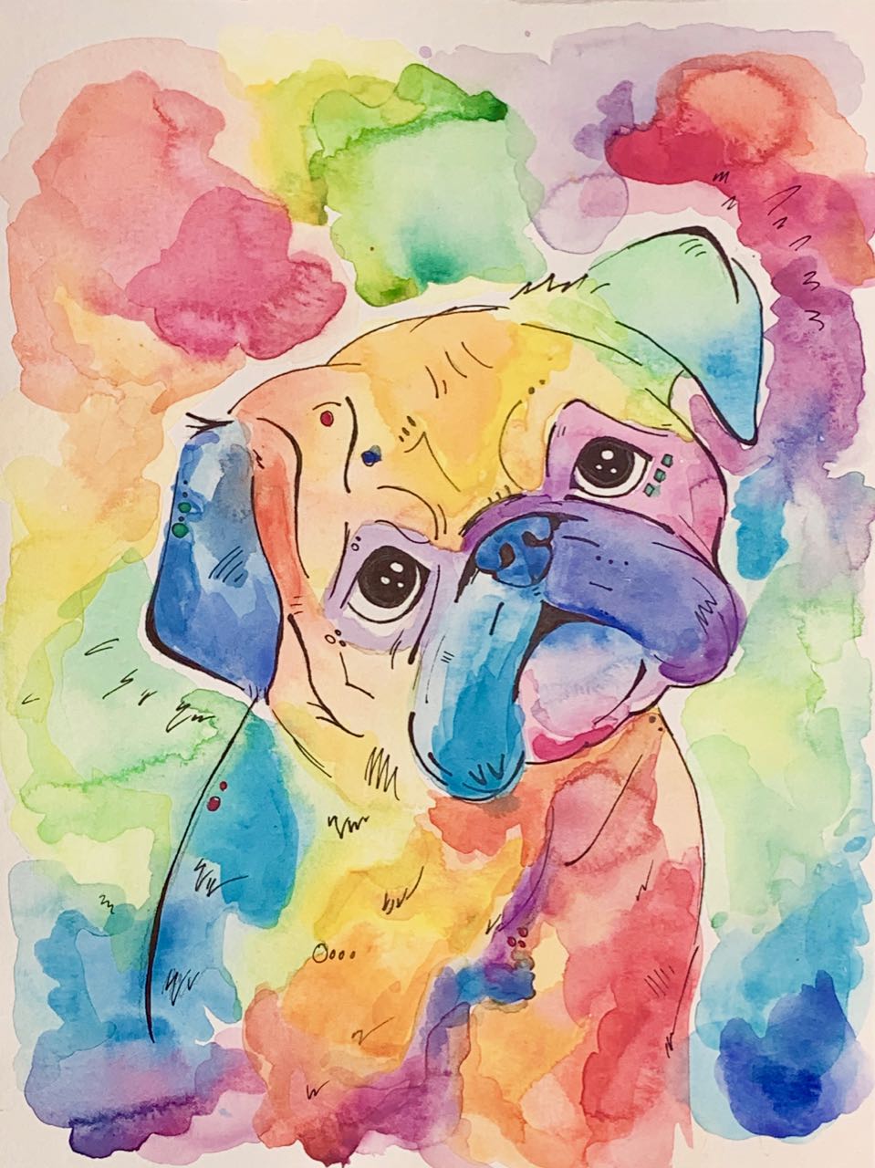 Rainbow Pug