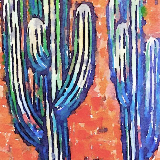 Rustic Saguaro