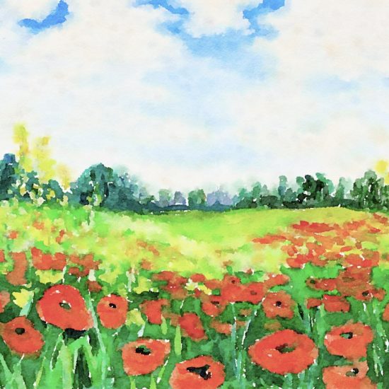 Monet Poppy Field