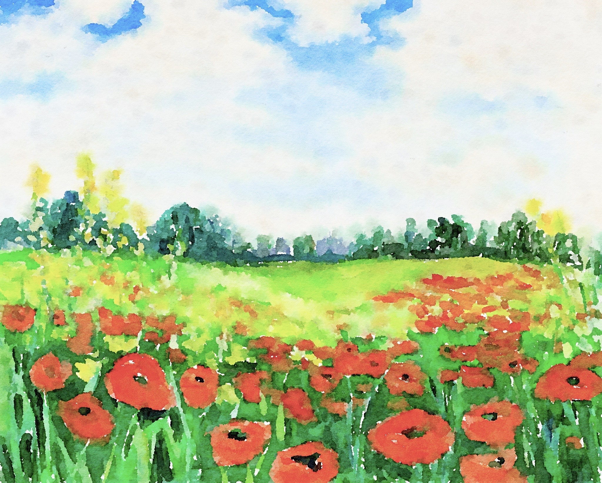 Monet Poppy Field