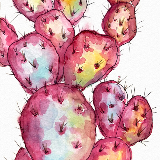 Purple Prickly